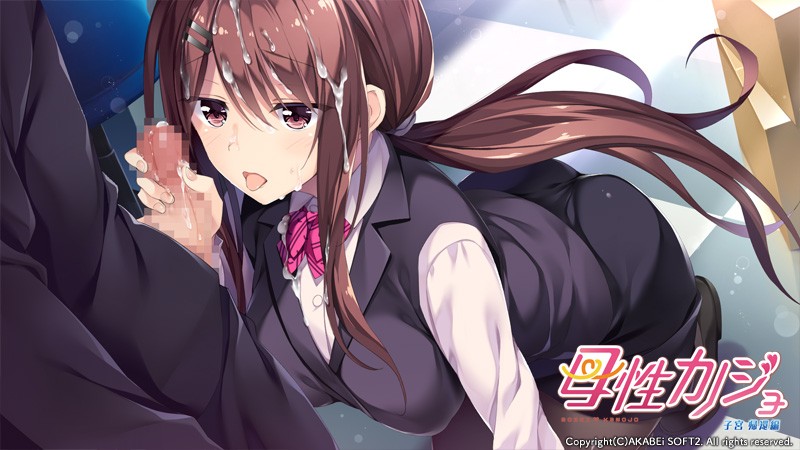 【拔作ADV/纯爱/巨乳/中出/汉化】母性女友/母性女友呵护有加/母性カノジョ/母性カノジョ-子宮 帰還編[1+2部+全CG存档]【PC/2G】