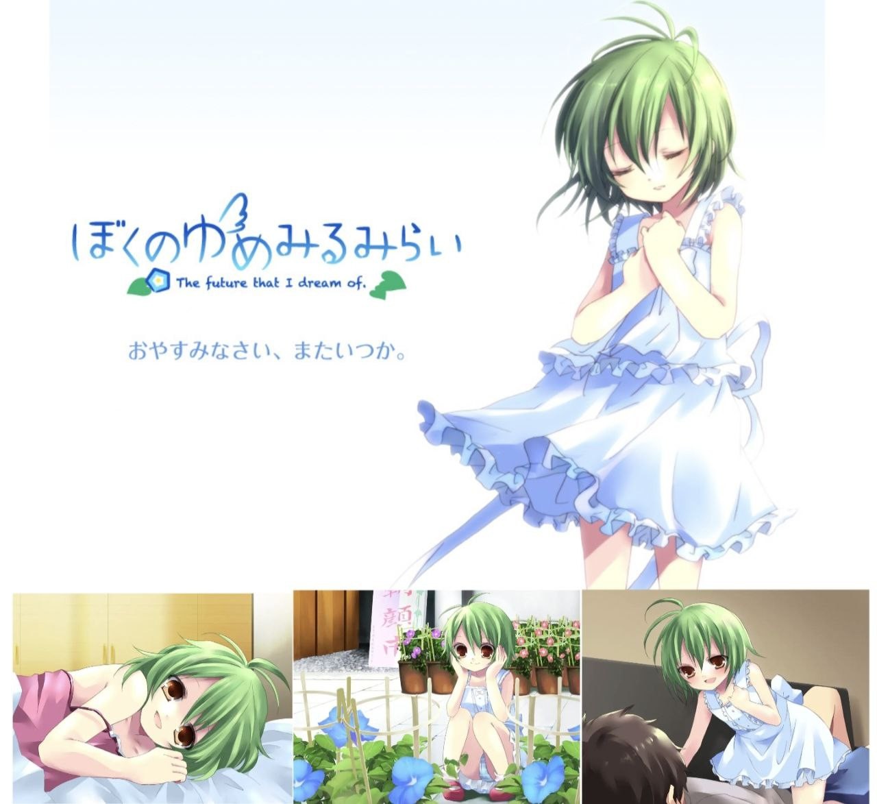 【ADV】我所希冀的未来【100mb夸克】