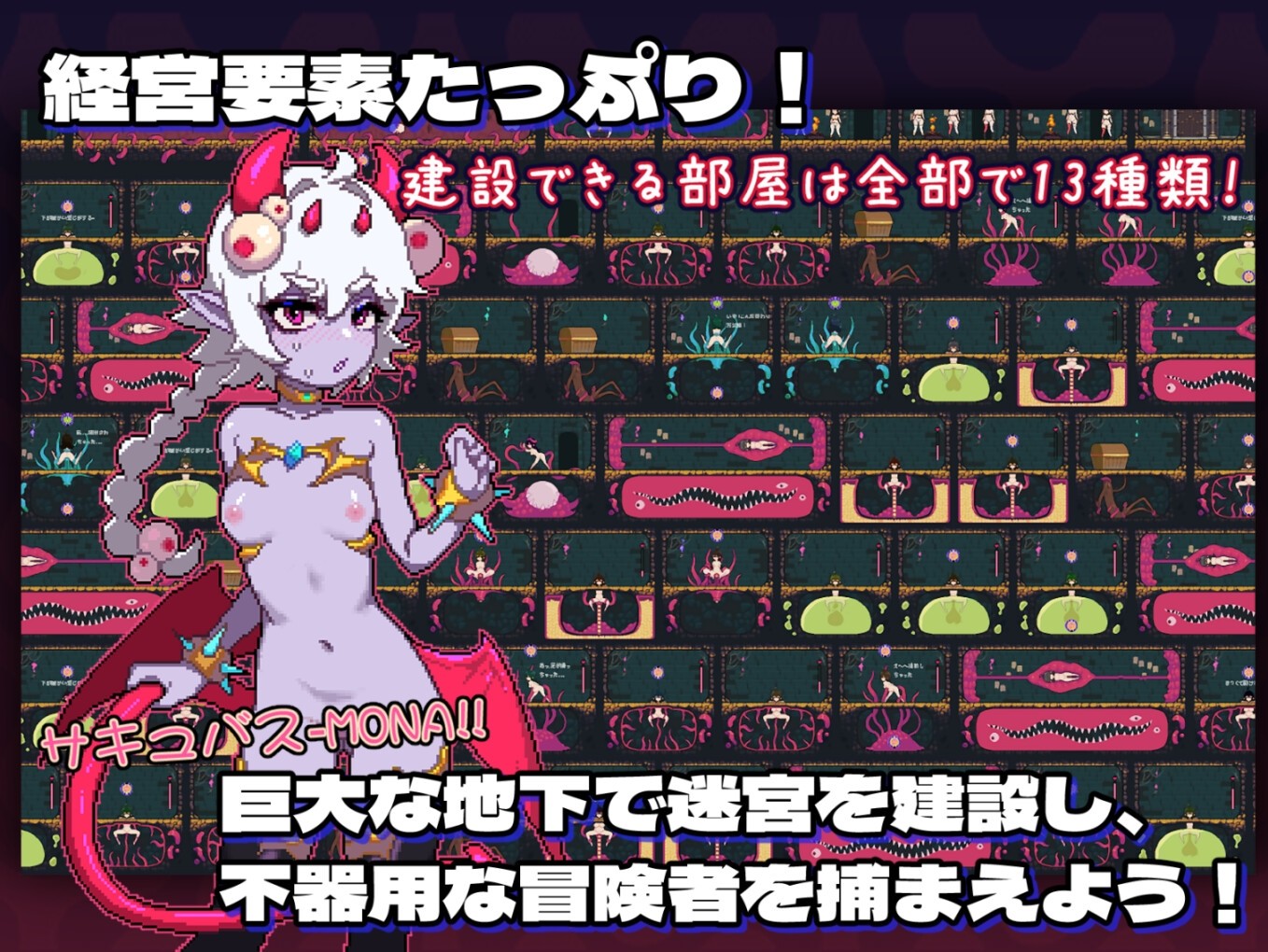 MazeCave~俺の感覚遮断触手ダンジョン!官方中文【PC】