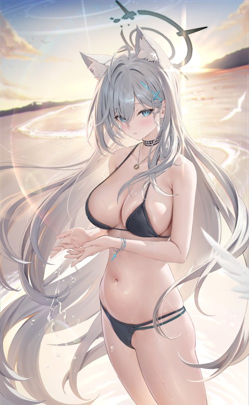 ほうき星【图集】七月——九月【度盘】