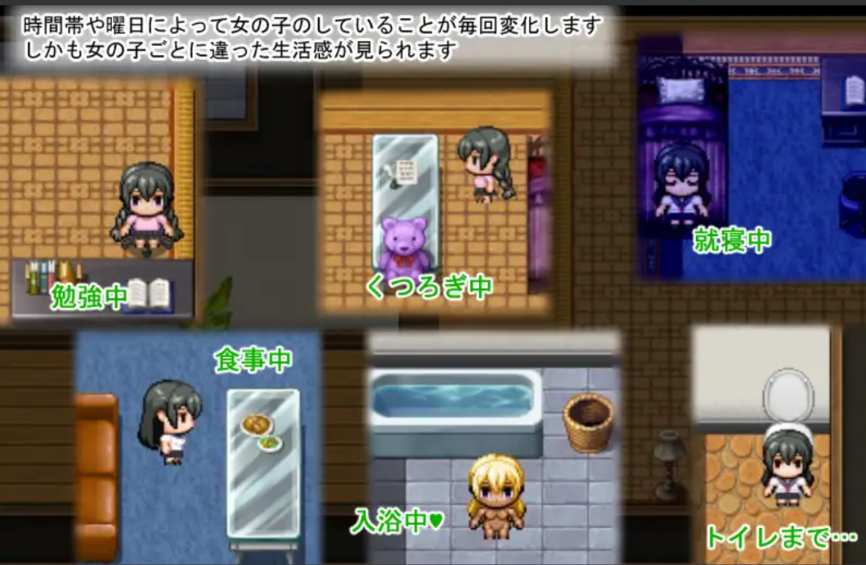 【SLG/PC】梨佳庄～与离家出走女孩的后宫生活V1.2+CG 官中