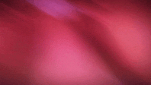 GIF_1.gif