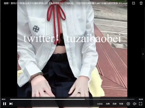 屏幕截图 2024 11 19 233000