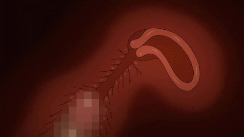1731920098456_1080x607.gif