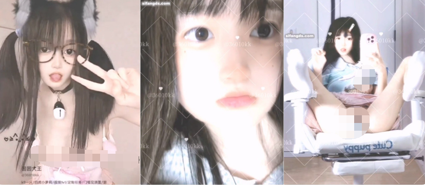 QQ截图20241218211715