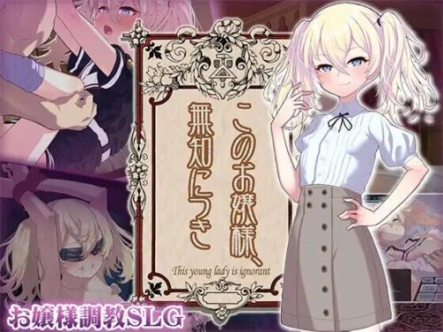 【SLG/触摸/AI汉化/PC】这位小姐，因无知所致 V1.1.0【1G】このお嬢様、無知につき