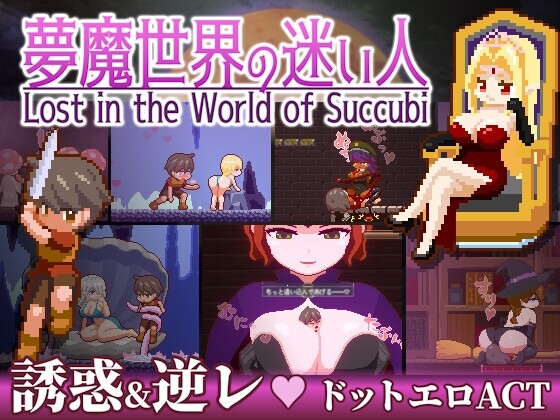 [ACT/官中/PC+安卓] 夢魔世界の迷い人 Lost in the World of Succubi [336m度盘]