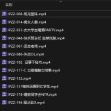 IPZZ