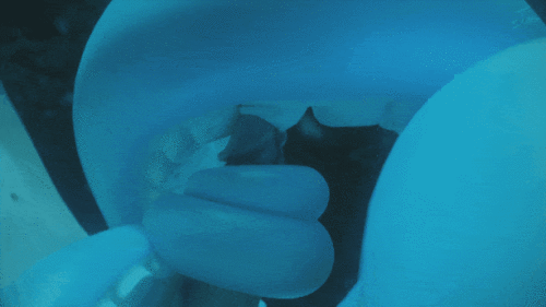2e2701065d5a8123e.gif