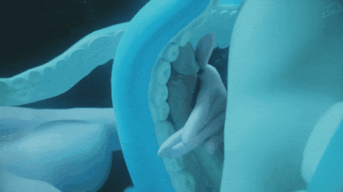 3abbca35c43e26a36.gif