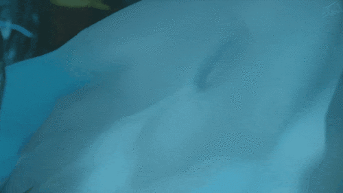 4.gif
