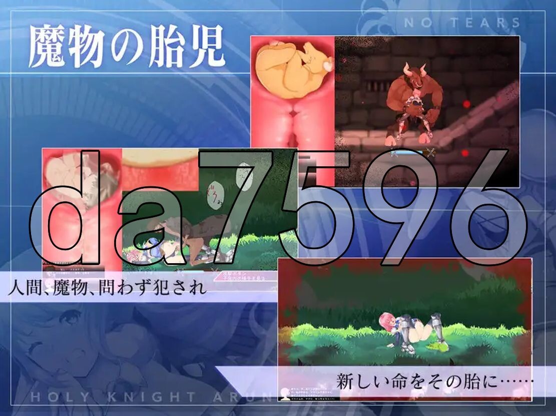 [日式ACT/动态/怀孕/异种X/小更新修bug ] 圣骑士阿尔内与魔孕的咒印生肉版 ver1.0.7 [4.40G/百度直连]