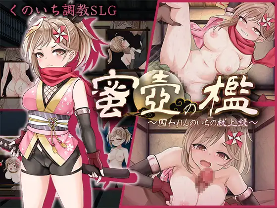 【SLG/动态/机翻+AI文本/口交/堕落/中出/乳交】[RJ01337839/ぬるはちぽんぽん社团]蜜壶之笼～被囚禁的女忍者的献上记录～/蜜壺の檻～囚われくのいちの献上録～【PC/1.50G】