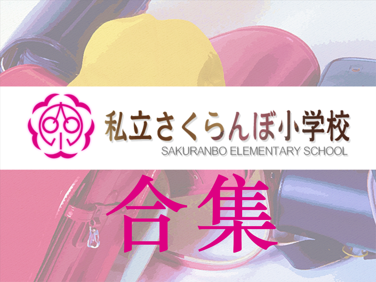 【PC/部分KR/25.7.14更新】私立樱桃小学（私立さくらんぼ小学校）25部合集【度盘/74.3G】