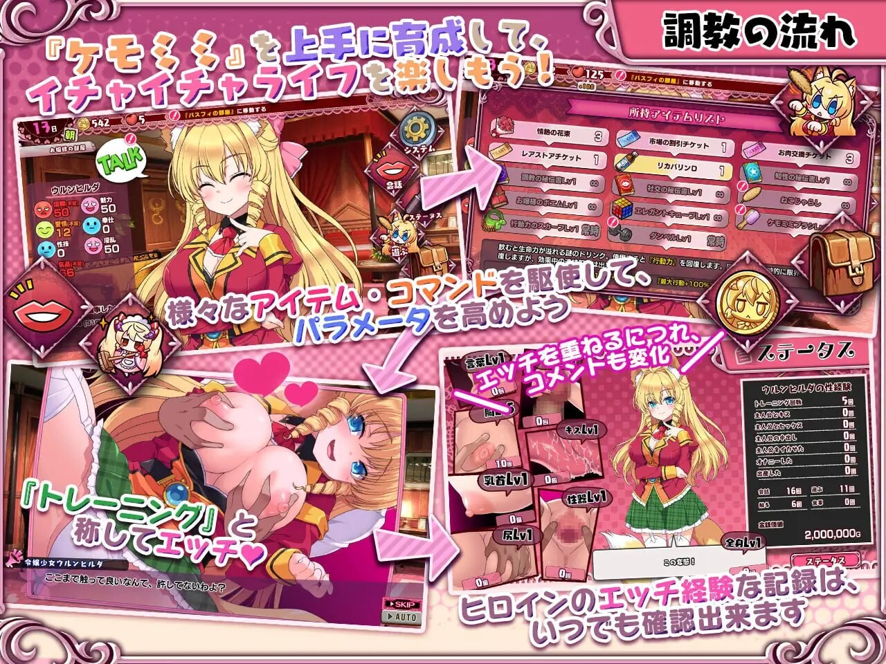 [互动SLG/动态/新作/PC] 兽耳☆训练 ～狂暴兽耳大小姐的养成～ケモミミ☆トレーニング ～狂暴けもみみ令嬢調教トライアル 官方中文 [600M/飞猫转百度-第6张-游戏-风花雪月-ACG交流分享论坛