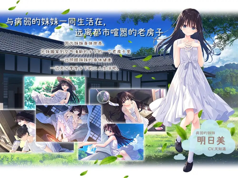 [日式RPG/日常生活/新DLC/PC] 痴情哥哥与病弱妹妹的乡间生活 エッチで一途なド田舎兄さまと、古式ゆかしい病弱妹 官方中文+DLC [2.7G/飞猫转百-第2张-游戏-风花雪月-ACG交流分享论坛