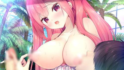 c1261444sample7.jpg