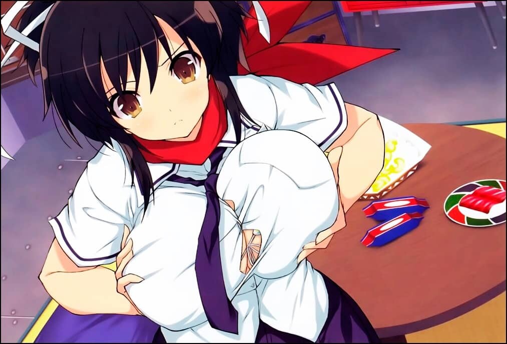 图片[4]-[ACT/中文/魔改步兵]闪乱神乐 Estival Versus -少女们的选择+邪恶魔改MOD整合[18.9G]-小陌资源库