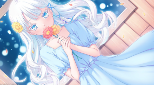 imagedd30a5513d4cb399.png