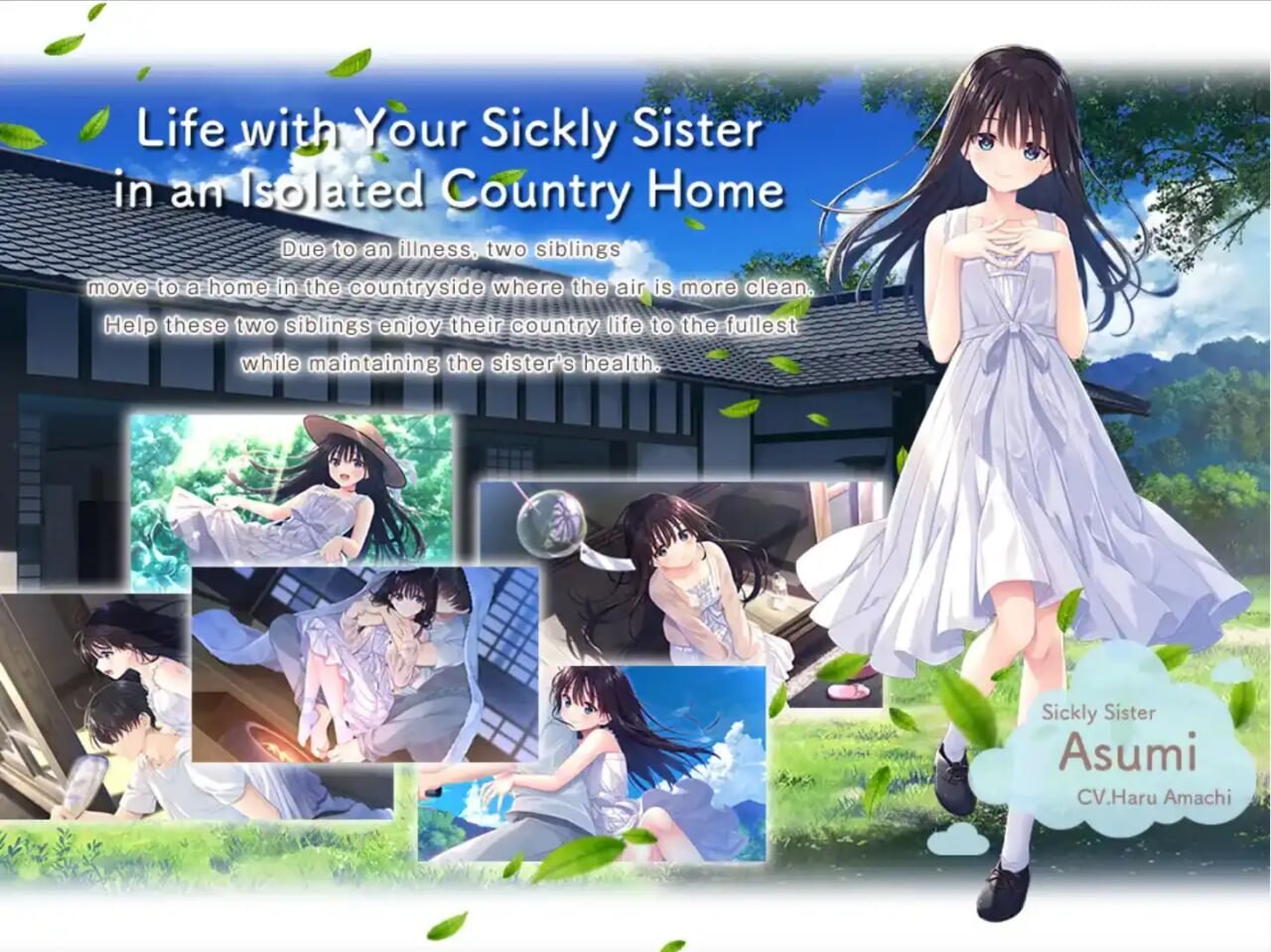 [SLG动态官中PC] 痴情哥哥与病弱妹妹的乡间生活 +Append.01 [FM转BD 2.86G]-第2张-游戏-次元小屋-ACG交流分享论坛