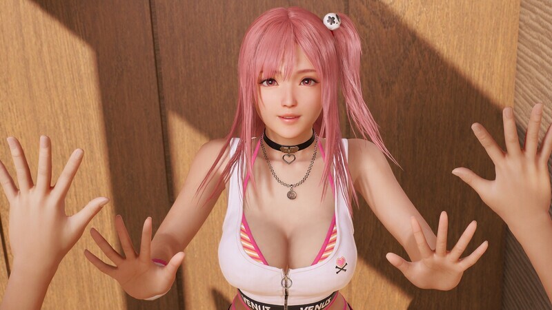 【3D/动态/巨乳/STEAM官中】维纳斯璀璨假期：死或生XTREME/Venus Vacation PRISM - DEAD OR ALIVE Xtreme -[Ver1.05+绅士MOD Ver1.2]【PC/12.40G】