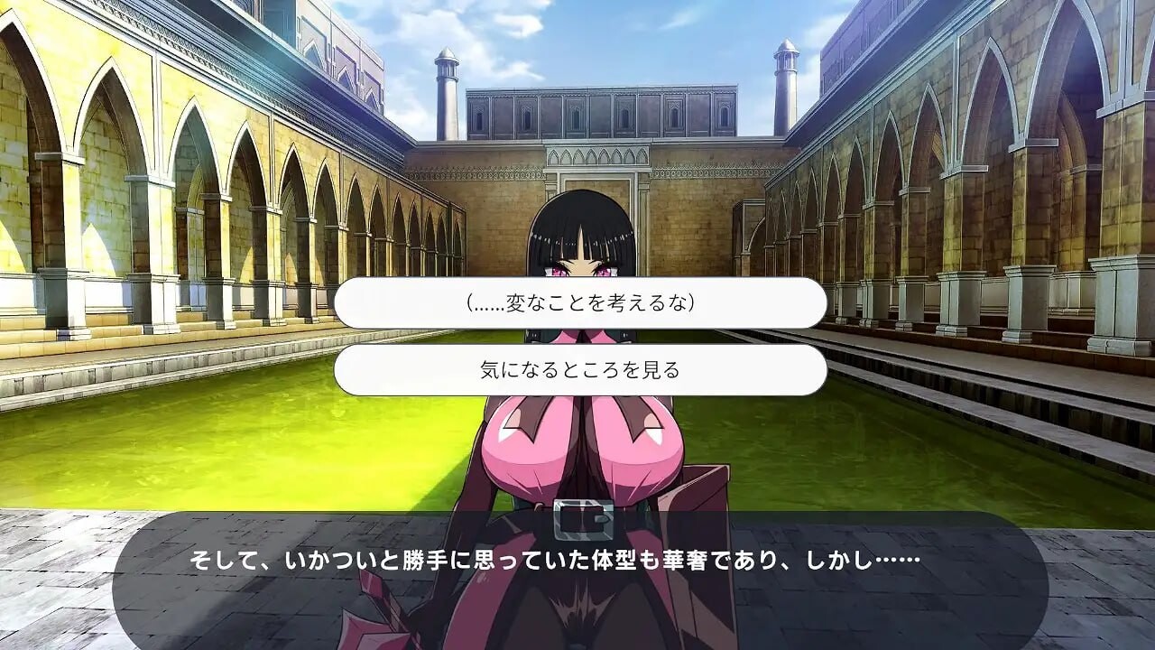[3D汉化PC动态] 身经百战的老兵你 VS 初出茅庐的新人女兵  [FM转BD 679M]-第4张-游戏-次元小屋-ACG交流分享论坛