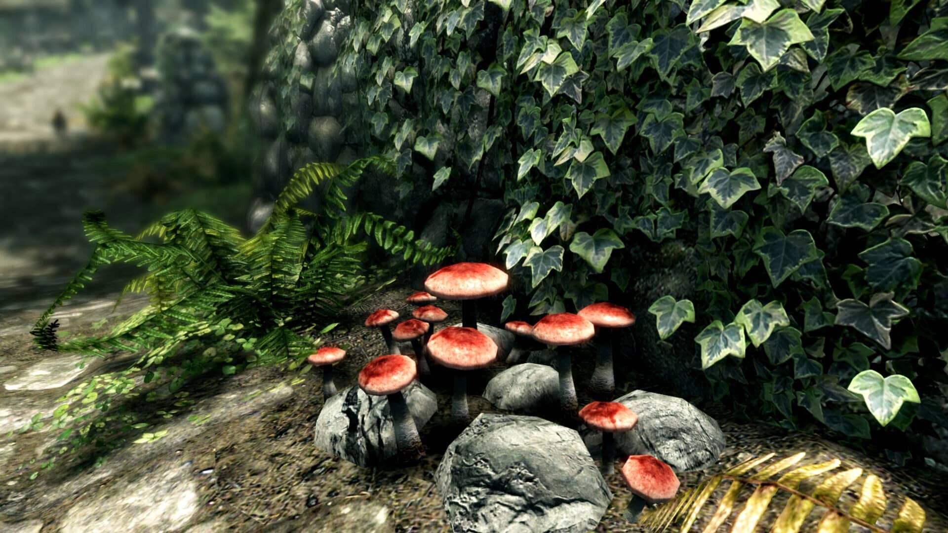 图片[17]-[3D大作/整合魔改]少女卷轴5/上古卷轴5/The Elder Scrolls V: Skyrim[季梓虞整合Y3.0 2025年5月完整内部整合版-大功能实验室-完全美化-多种画质][150G]-小陌资源库