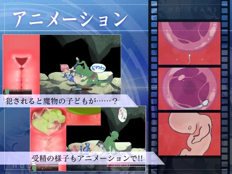 [ACT官汉PC动态NTR CV] 圣骑士阿恩与魔孕咒印Another No Tears[FM转BD 1.49G]-第1张-游戏-哥特动漫王国-哥特萝莉社