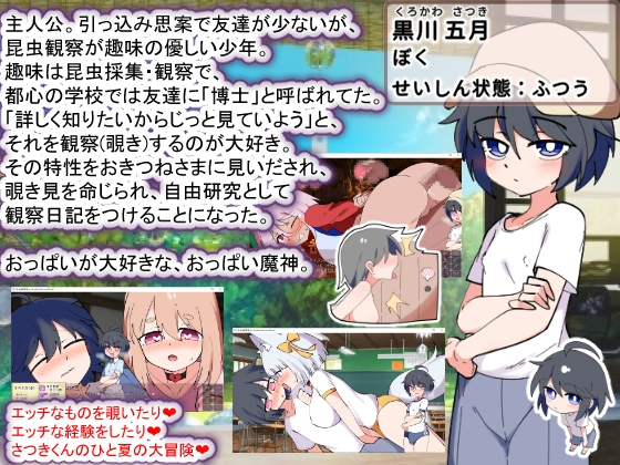 [沙盒SLG/姐姐X正太/新作/PC] 狐仙大人与姐姐正太的夏日日记W～双重姐姐与秘密窥视孔 おきつねさまとおねショタ夏日記W――ダブルお姉ちゃんとひみつののぞ-第10张-游戏-风花雪月-ACG交流分享论坛