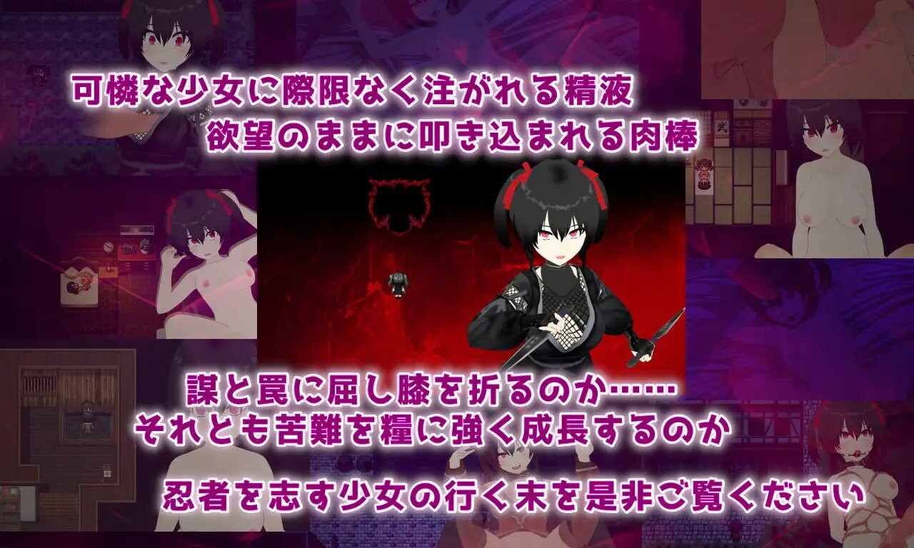 [RPG汉化PC女主] 灾厄忍者 妖华与阴谋之里 Calamitous 忍者と妖華と悪謀の里  [FM转BD 1.33G]-第3张-游戏-次元小屋-ACG交流分享论坛