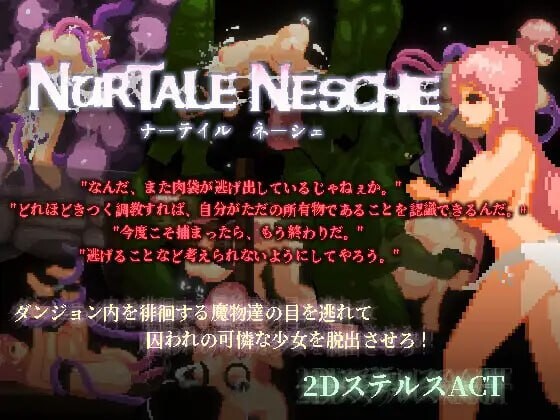 [ACT官中PC像素动态CV]ナーテイル・ネーシェ v1.0.3.0[FM转BD 172M]-第9张-游戏-次元小屋-ACG交流分享论坛