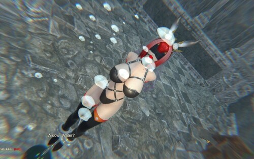 【ARPG/官中/3D/步兵】无尽迷宫-恶女末途/Widow in the Endless Labyrinth[+步兵DLC整合]【PC/1.3G】