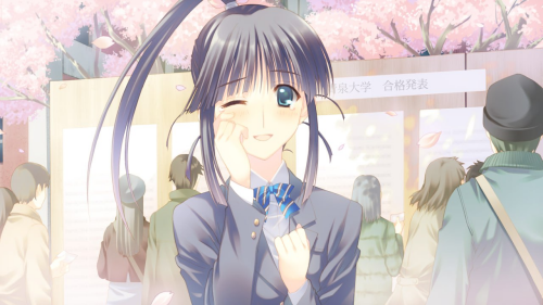 image8b45245372b77209.png