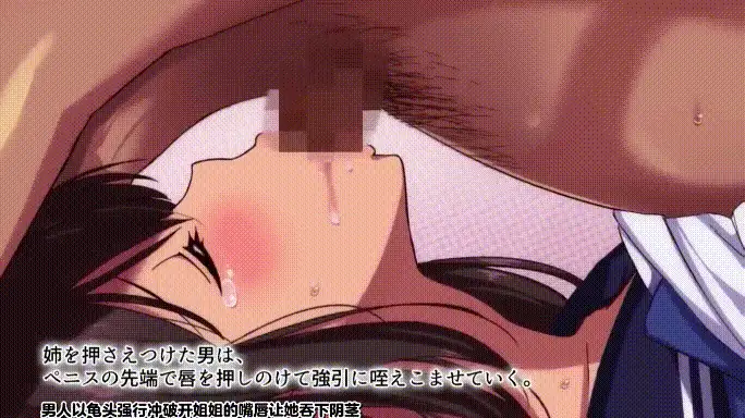 【2D动画/中文/全动态】【中文字幕】 survive more 那天,弟弟给姐姐下药看着她被不良们欺辱了   【300M/UC】