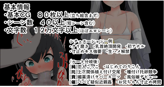 [日式RPG/汉化/PC+安卓]被寝取的幼妻(寝取らせ幼妻） 叶酱内嵌汉化版[500M]