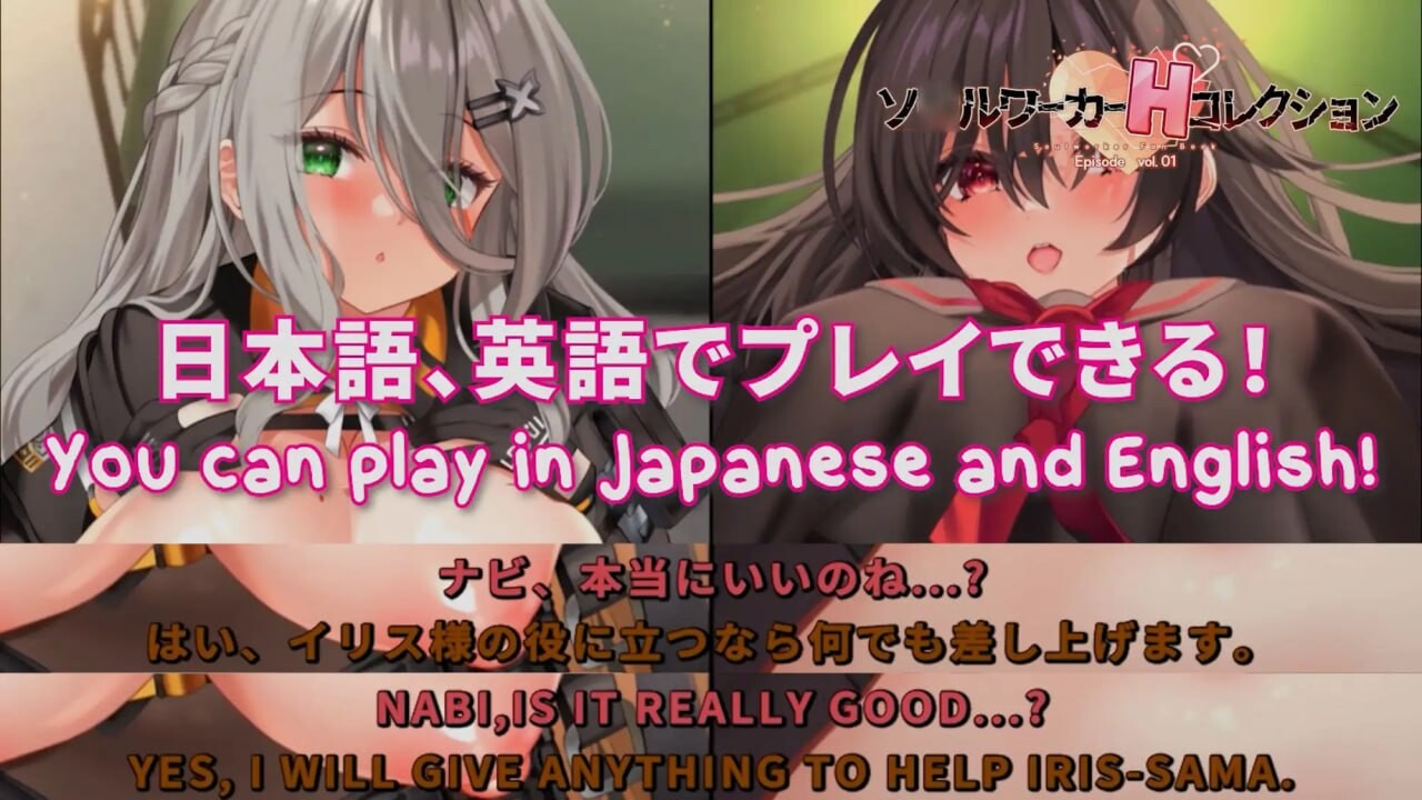 [SLG生肉PC动态CV]ソ○ルワーカーHコレクション [FM转BD 2.23G]-第2张-游戏-次元小屋-ACG交流分享论坛