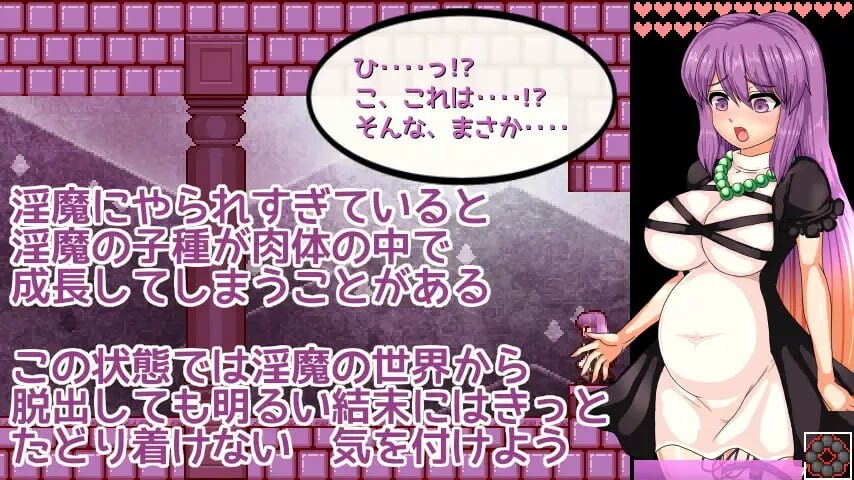 [ACT官中PC动态]圣白莲与淫魔的魔城 聖白蓮と淫魔の魔城 v1.07[FM转BD 384M]-第6张-游戏-哥特动漫王国