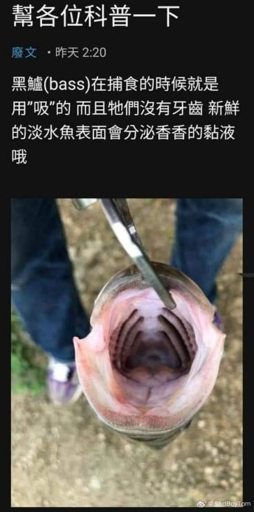 图片[2]-【日式SLG/整活儿向】艹鱼模拟器  異魚 igyo DL正式版【100M/新作】-嘤嘤怪之家