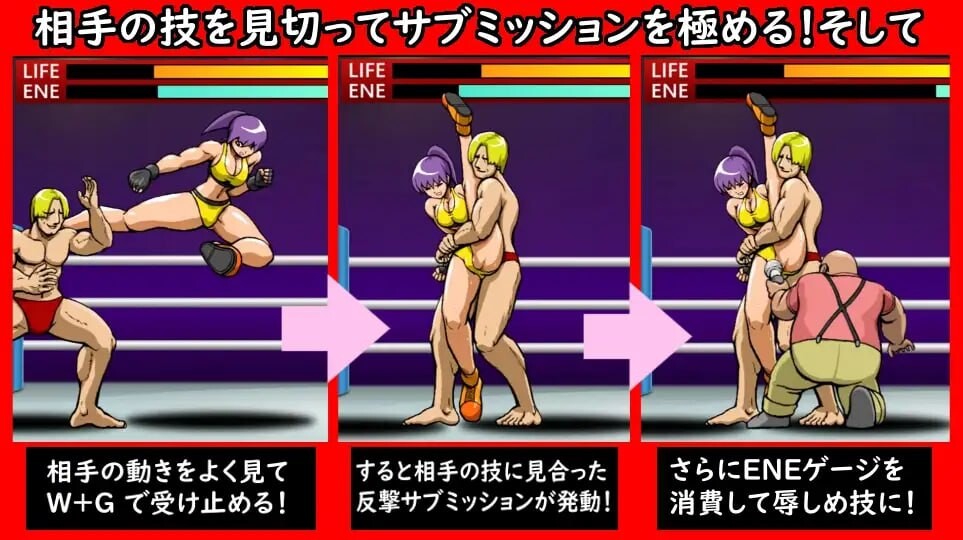 [ACT生肉PC动态]羞耻绝顶屈服 羞恥絶頂サブミッション [FM转BD 36M]-第1张-游戏-次元小屋-ACG交流分享论坛