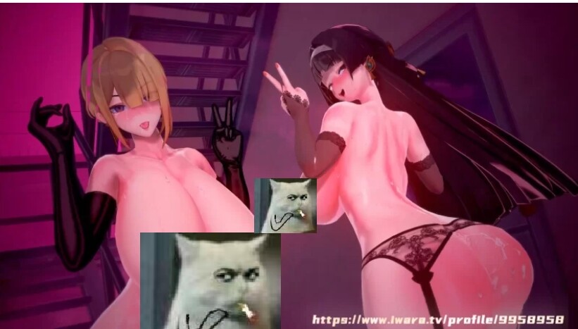 图片[1]-【MMD/中文/步兵】3KKK 绝区零NTR 战败恶堕~耀佳音x伊芙琳x朱鸢 第0-2集整合21分 【800M/CV】-嘤嘤怪之家