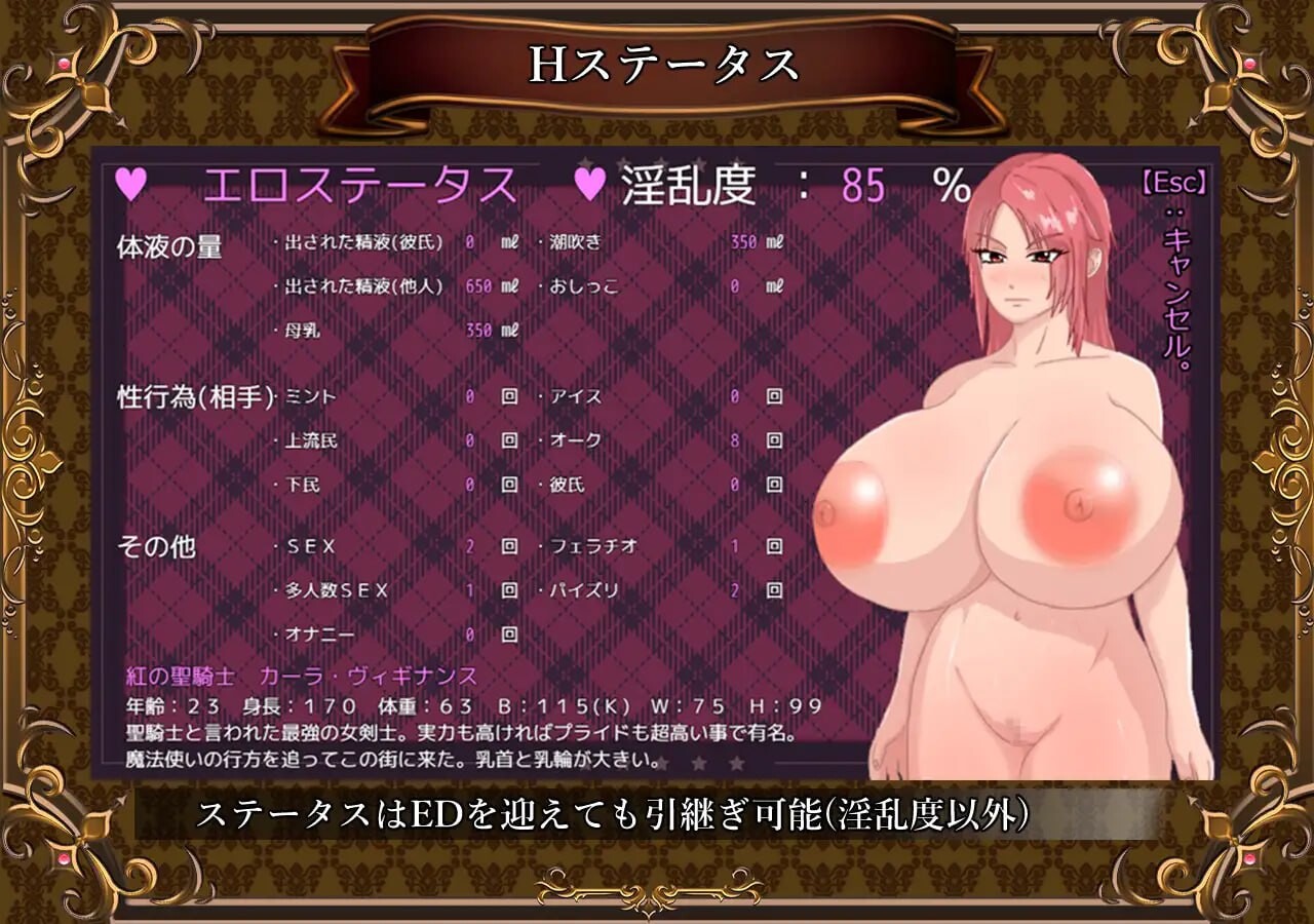 [RPG汉化PC]败北的圣骑士卡拉 曾经是骄傲的女骑士如今丑态百出 敗北の聖騎士 カーラ ～ プライドの塊だった女騎士は無様に醜態を晒す[FM转BD866M]-第3张-游戏-哥特动漫王国