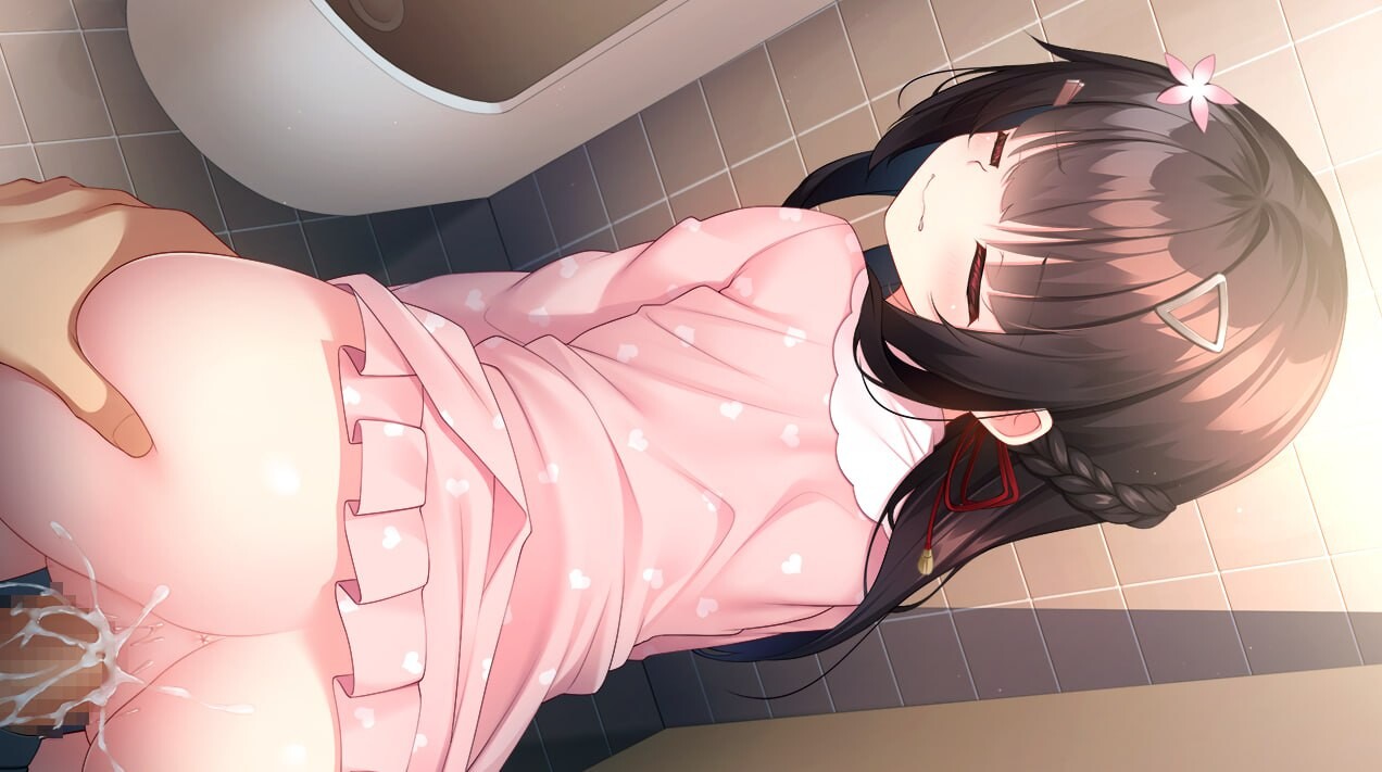 [ADV汉化PC全CG存档特典]有点傲娇的厕所花子 ちょっとナマイキなトイレの花子さん [FM/BD1.17G]-第1张-游戏-次元小屋-ACG交流分享论坛