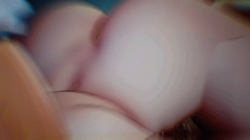 3a96a47430c5d9c12d52d2c8b08911a2.gif