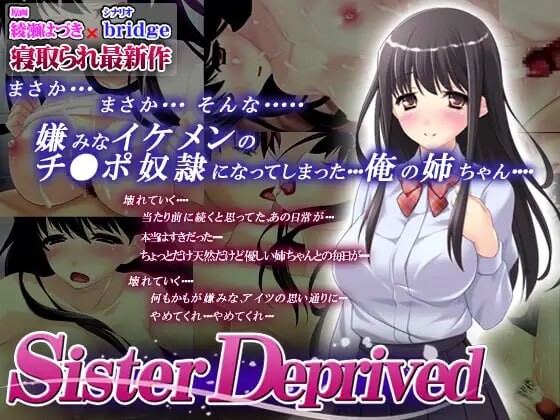 [ADV汉化PC全CG存档CV]被剥夺的姐姐 Sister Deprived [FM/BD 732M]-第1张-游戏-次元小屋-ACG交流分享论坛
