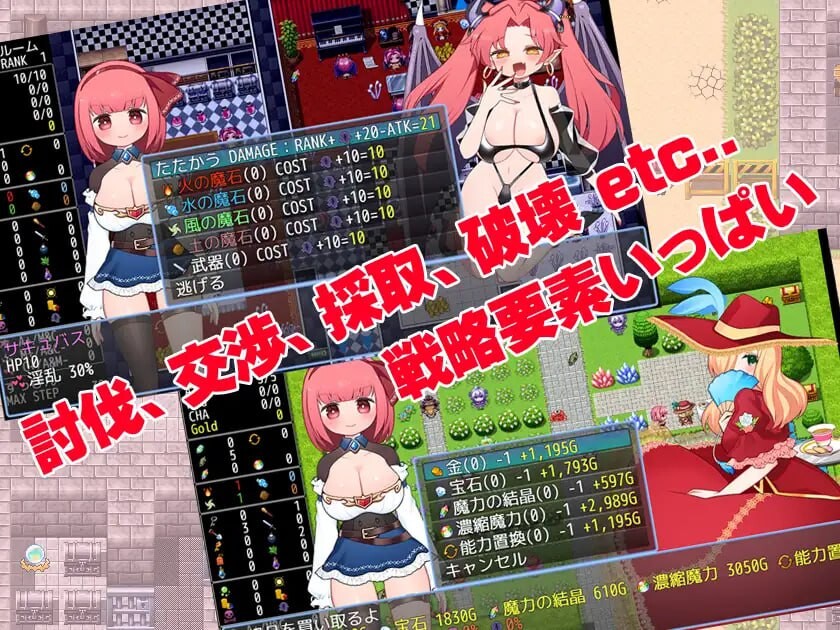 [RPG官中PC安卓joiMAC CV]MOMO的永恒冒险谭 モモのエターナル冒険譚[FM/BD1.28G]-第3张-游戏-次元小屋-ACG交流分享论坛