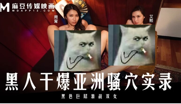 图片[1]-【视频/带剧情/中字/步兵】MA豆传媒  MD-0348 艾熙 周甯 黑人篇 [1V] 【1.1G】-嘤嘤怪之家