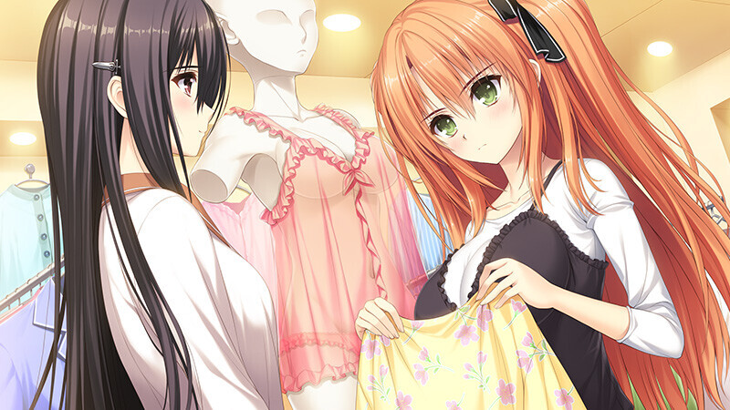 [大型ADV/女装伪娘/PC] 少女爱上姐姐3 処女はお姉さまに恋してる 3つのきら星 精翻汉化+全CG存档+特典 [12.6G/FM]-第3张-游戏-风花雪月-ACG交流分享论坛
