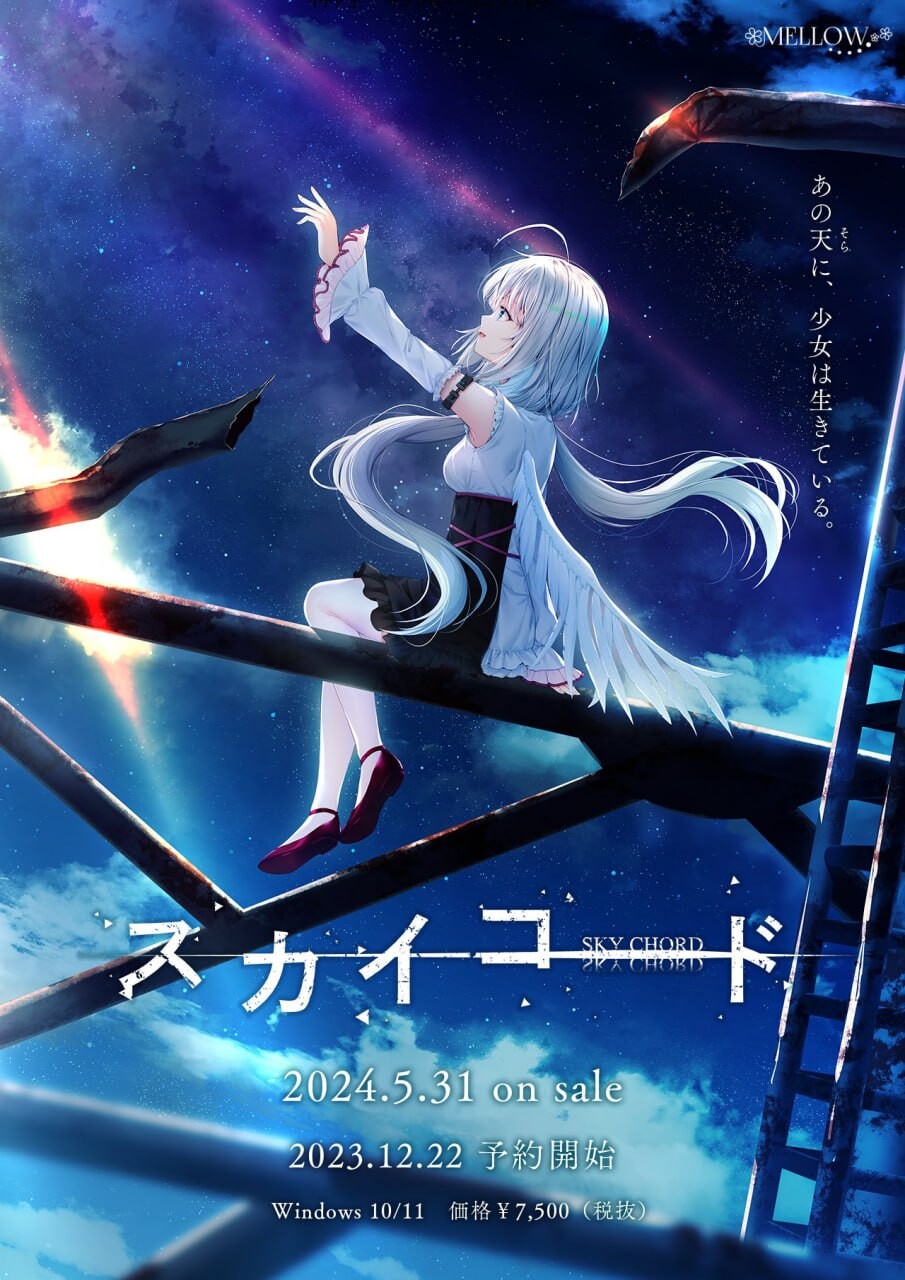 [ADV汉化PC全CG存档]天空之弦 スカイコード [FM/BD 3.23G]-第1张-游戏-风花雪月-ACG交流分享论坛