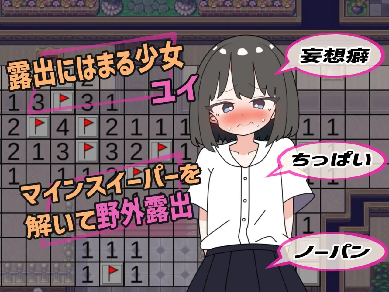 [SLG生肉PC动态]野外露出扫雷器 野外露出スイーパー [FM/BD 275M]-第2张-游戏-次元小屋-ACG交流分享论坛