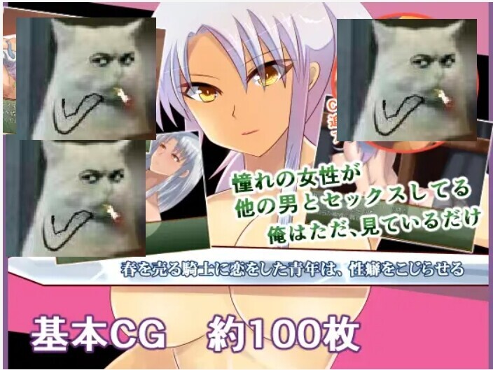 [RPG/AI汉化] [铃屋] 对援交骑士心生爱慕的青年，逐渐扭曲了杏癖 AI汉化内嵌版[600M/新汉化]